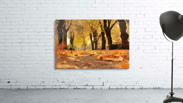JPT 5921W Wall Preview