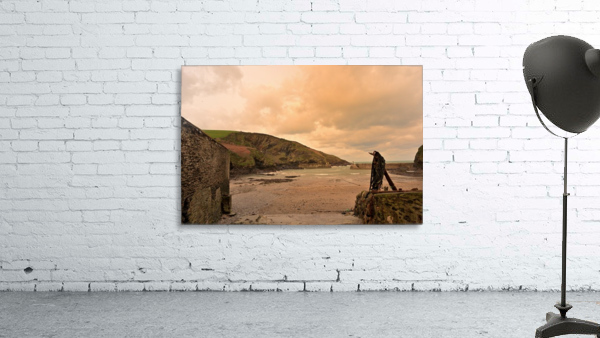 JPT_1041 Wall Preview