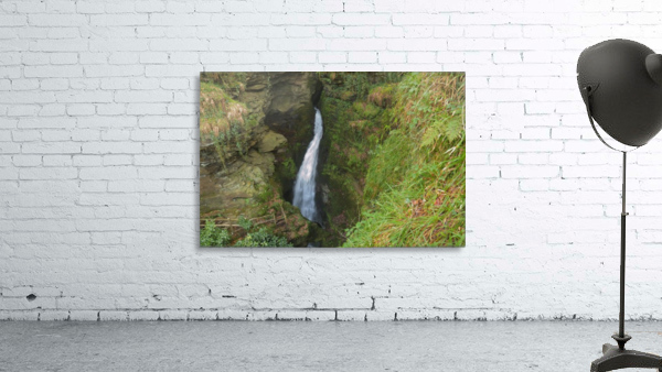 JPT_8345 Wall Preview