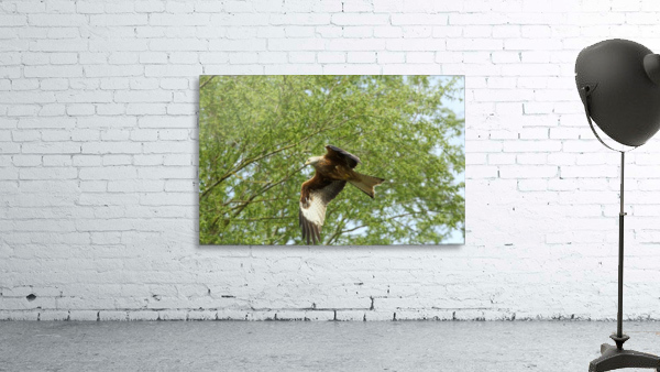 JPT 681R Wall Preview