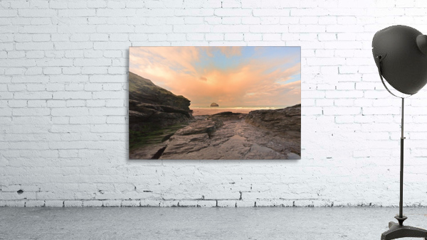 JPT_0876TR Wall Preview