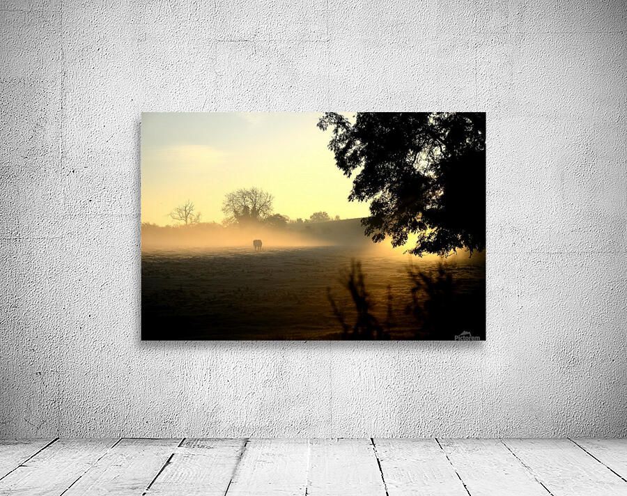 JPT 7190 Wall Preview