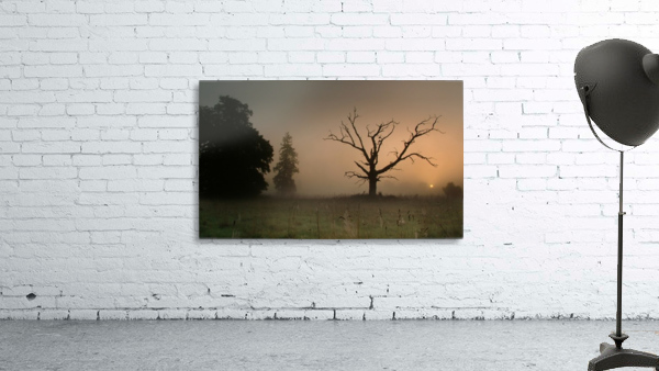 JPT00024 Wall Preview