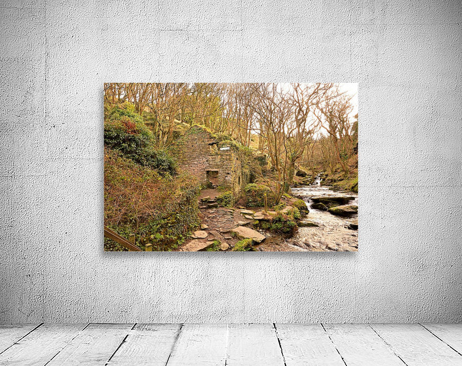 JPT_0995 Wall Preview