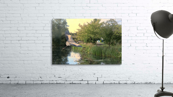 JPT H6197 Wall Preview