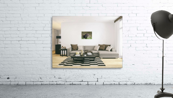 JPT 428J Wall Preview