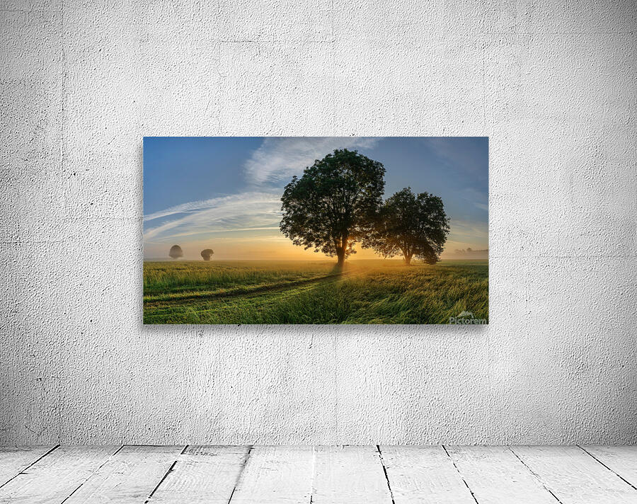 trees 321 Wall Preview