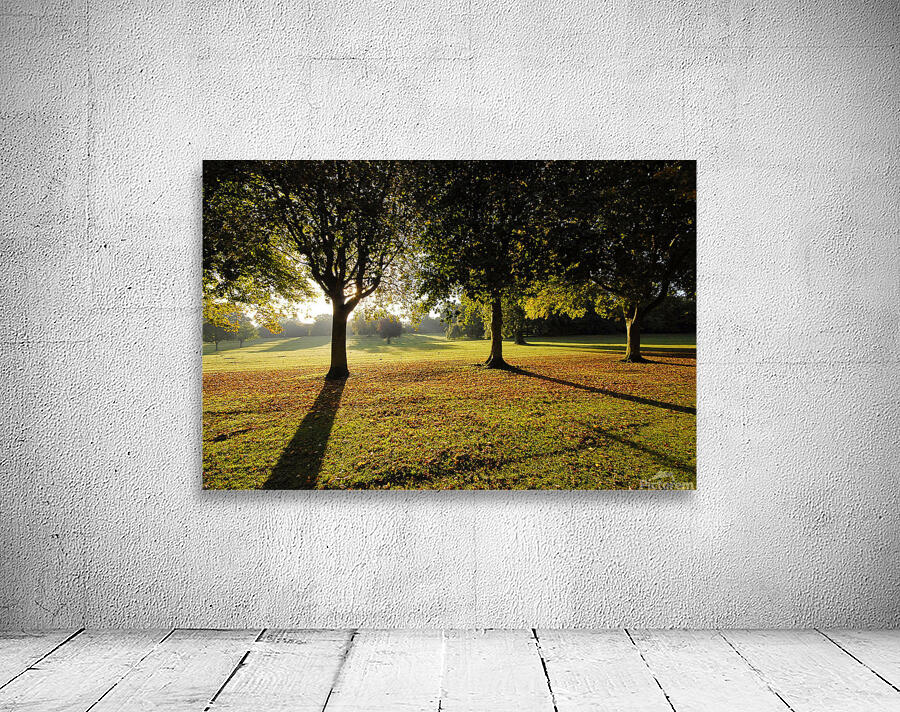 Hall park Wall Preview