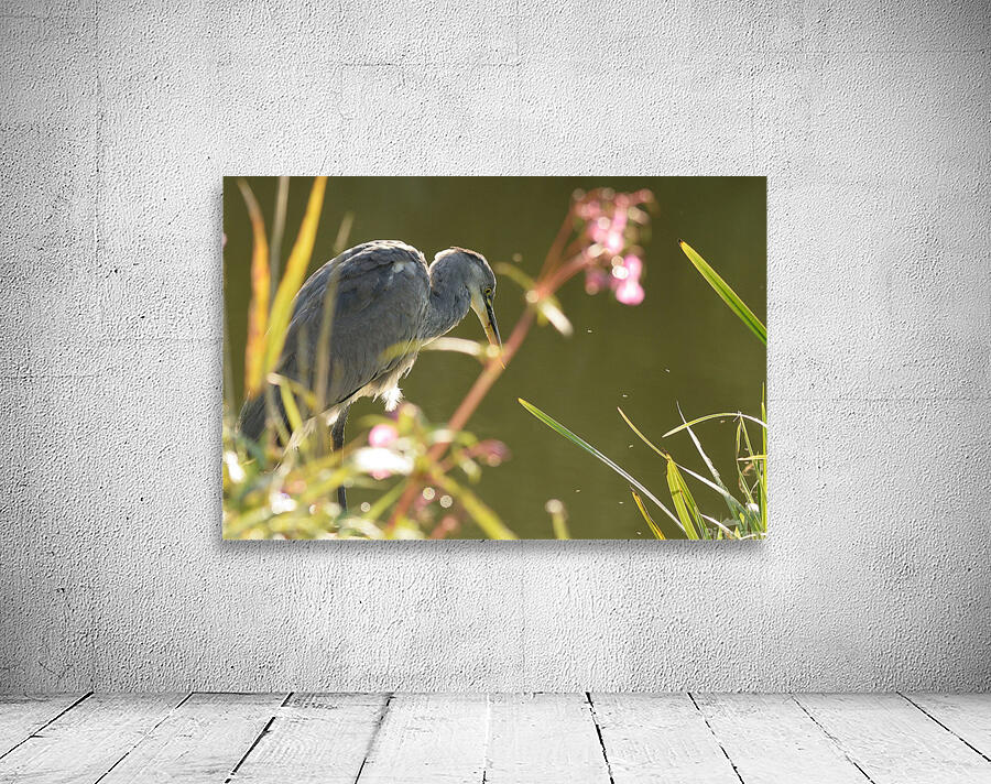 JPT  G5078 Wall Preview