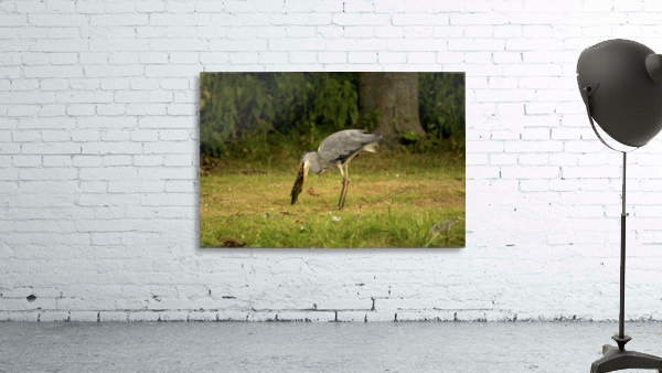 _JPT8962H Wall Preview
