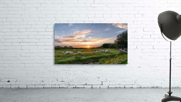 JPT 62119 Wall Preview