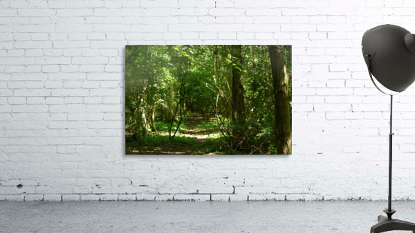 JPT_8258 Wall Preview