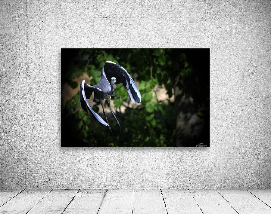 _JPT 9005H Wall Preview
