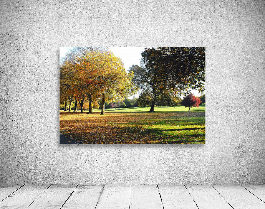 JPT 44T Wall Preview