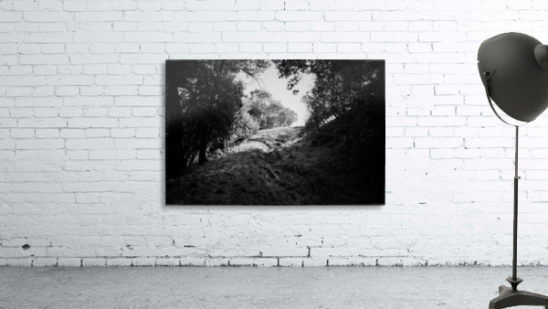 _JPT9115_01 Wall Preview