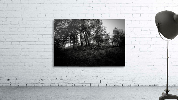 _JPT9114_01 Wall Preview