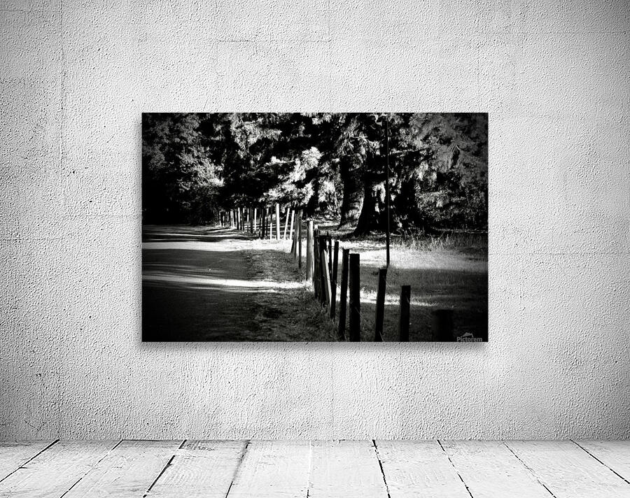 JPT_1528 Wall Preview