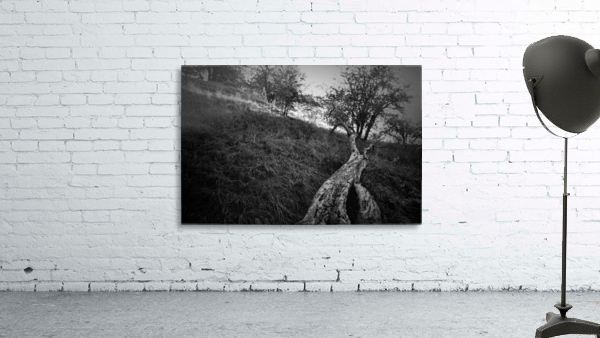 _JPT9103_01 Wall Preview