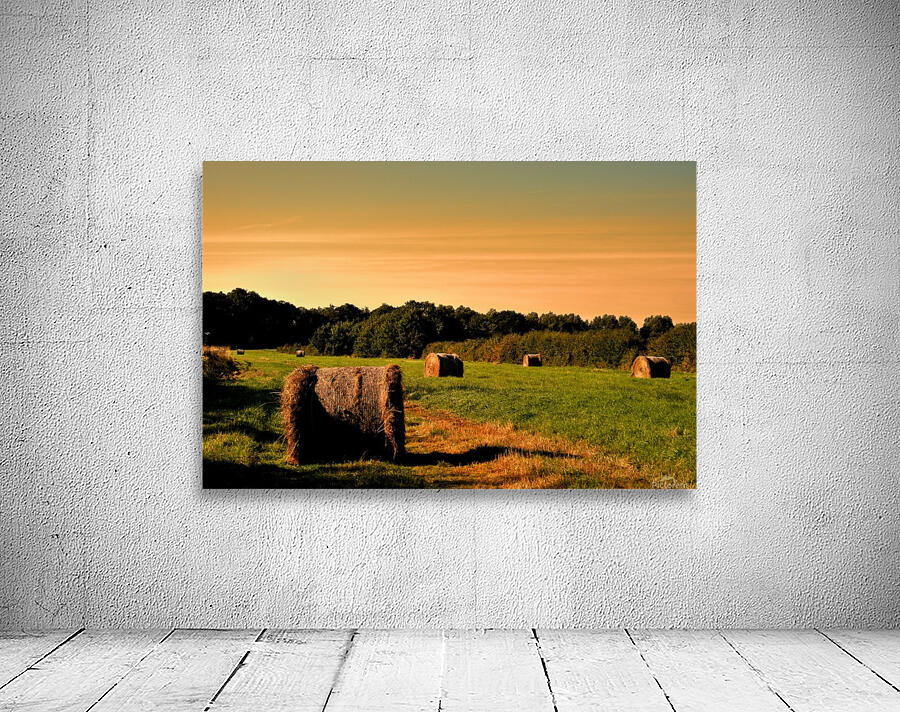 JPT_5097 Wall Preview