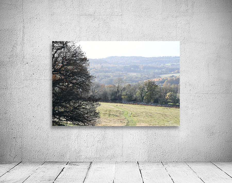 JPT 1596 Wall Preview