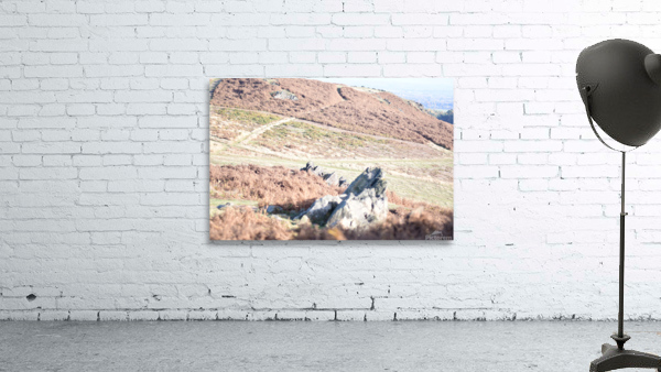 JPT 1604 Wall Preview