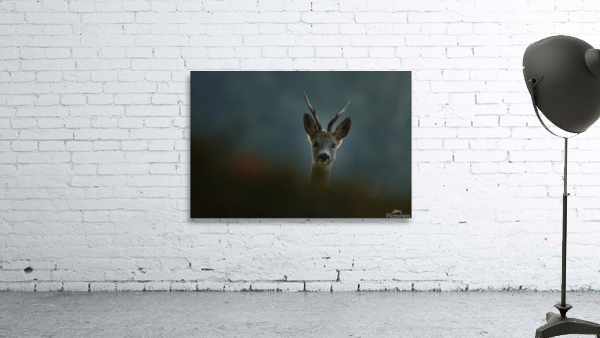 jpt 55532 Wall Preview