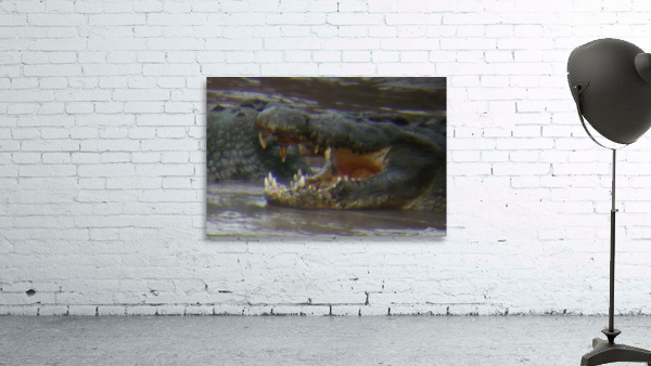 JPTCM 20 Wall Preview