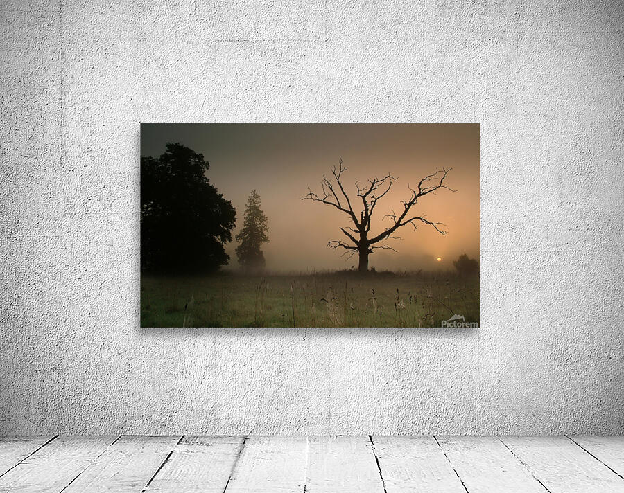 JPT00024 Wall Preview