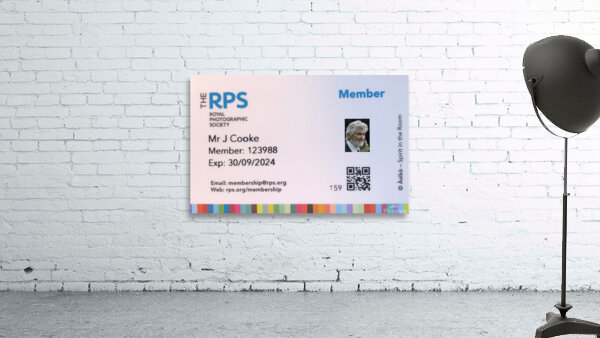 JPT  RPS 429 Wall Preview