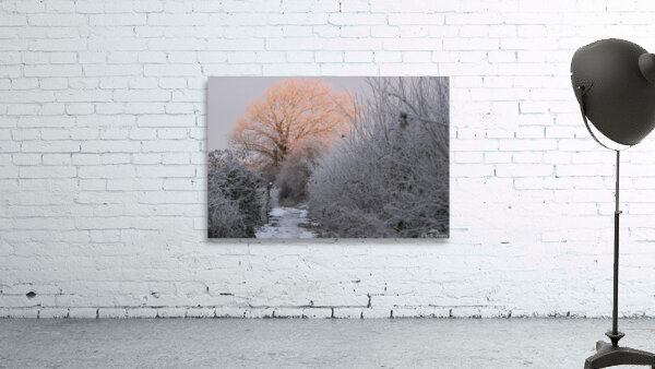 JPT 991S Wall Preview