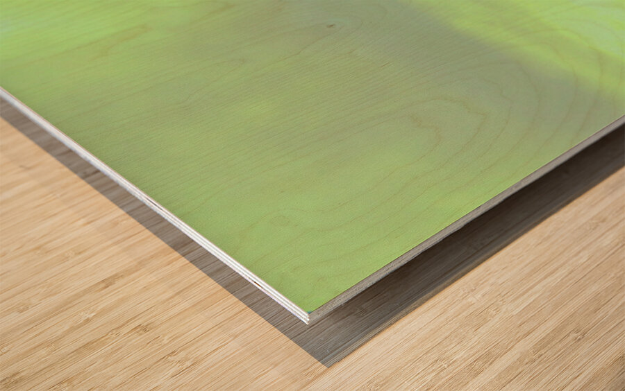 jpt 555ghh Wood print