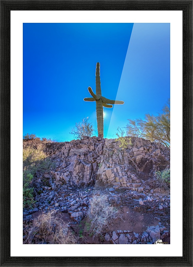 Natures Cross Picture Frame print
