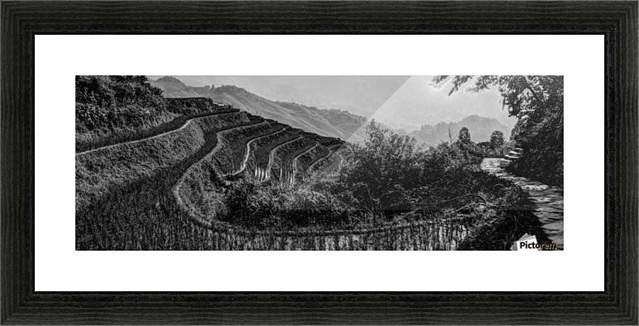 Rice in Longji Picture Frame print