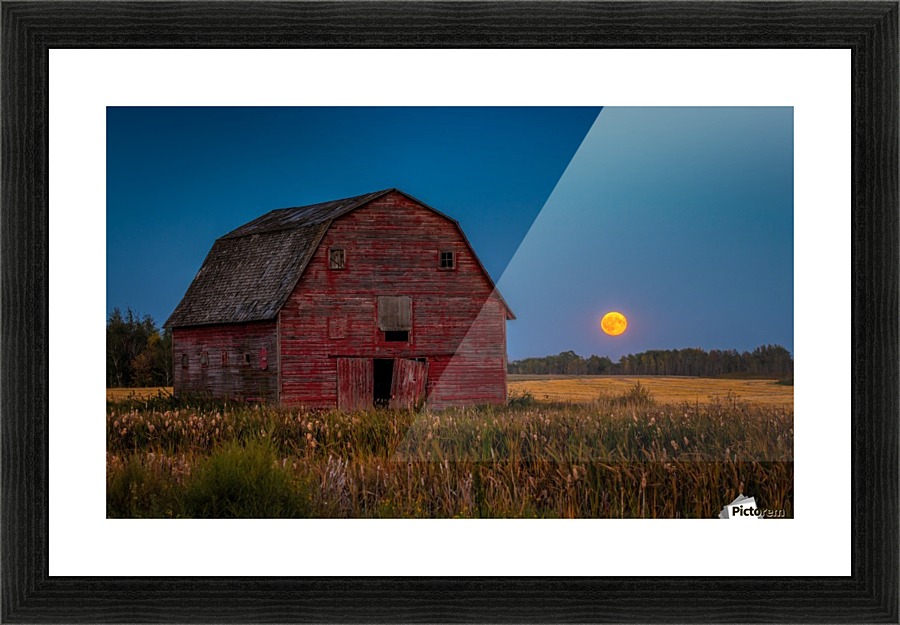 Harvest Moon Picture Frame print