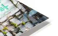 Chinese Door HD Metal print