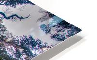 Mossy_Tree_at_Mirror_Lakes HD Metal print