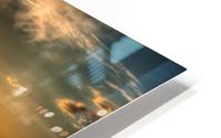 Sunken Glory HD Metal print