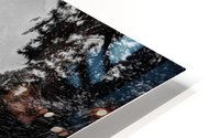 Rice in Longji HD Metal print
