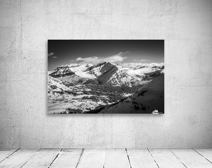 Backside_Beauty Wall Preview