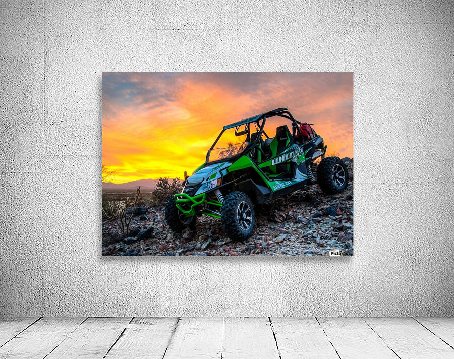 Wildcat Sunset Wall Preview