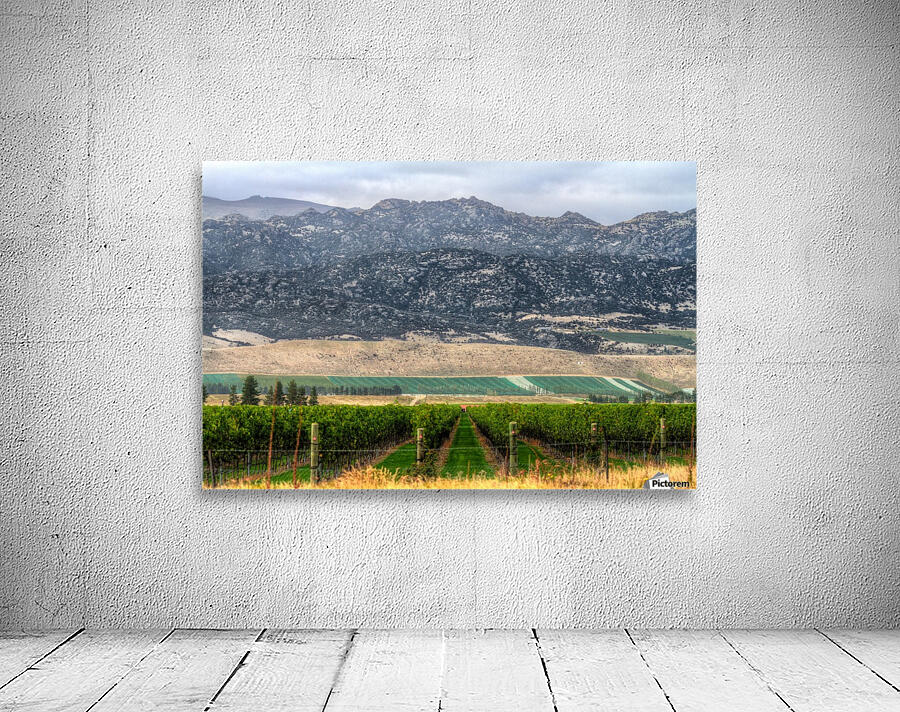 Wine in Grape Form Wall Preview