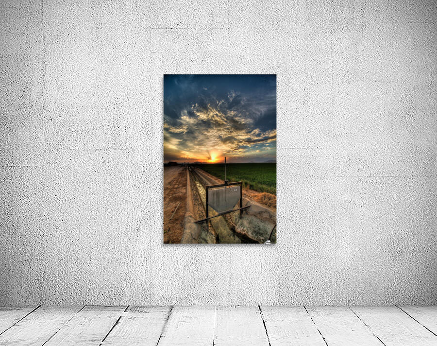 Water is Essential Wall Preview