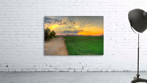 New Alfalfa Wall Preview