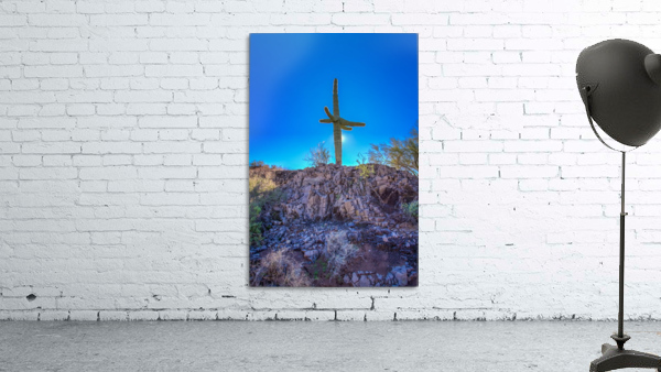 Natures Cross Wall Preview