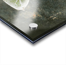 Green leaves of ceropegia woodii Acrylic print