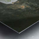 Green leaves of ceropegia woodii Metal print