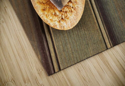 Soap bar and bristle brush victimewalker puzzle