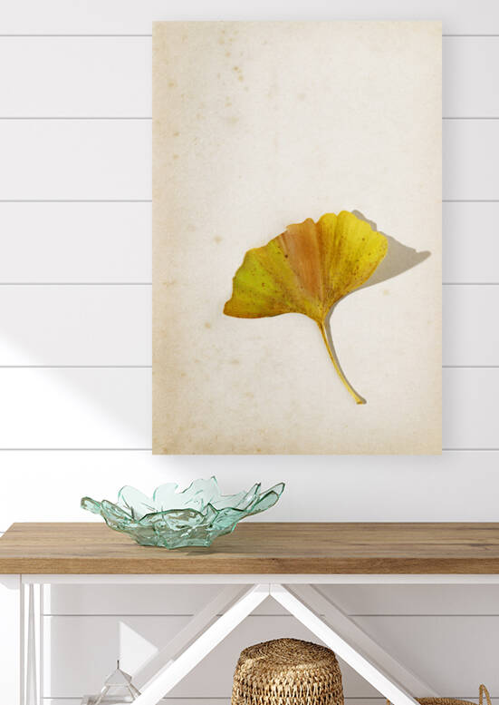 Autumn ginkgo leaf on old page by victimewalker