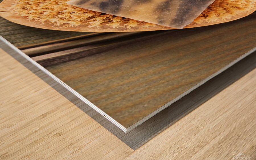 Soap bar and bristle brush Wood print