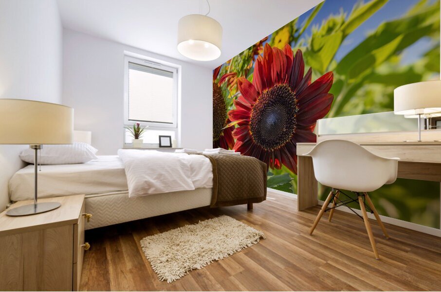 Floral - Red Sunflower Mural print